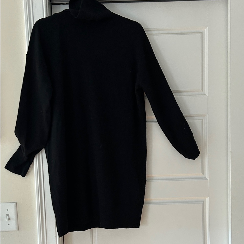 Everlane Black Turtleneck Dress